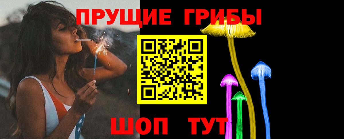 Псилоцибиновые грибы Psilocybe  Вход с VPN  Находка 